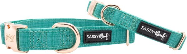 Sassy Woof Dog Collar, Napa, Small slide 1 of 3