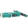 Sassy Woof Dog Collar, Napa, Medium