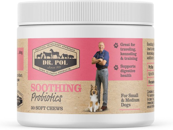 chewy dr pol dog food