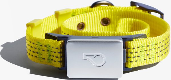 Whistle Switch Smart Waterproof Cat & Dog Collar Kit, Yellow, Small/Medium slide 1 of 6