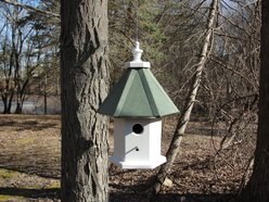 Birds Sanctuary Handmade Hanging Wooden Bird House, Green Roof