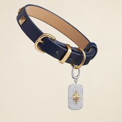 Scamper & Co North Star Rhodium & Yellow Gold-Plated Bronze Dog & Cat ID Tag, Small slide 2 of 4