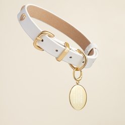 Scamper & Co Oval "I'm In Charge" Crown Rhodium & Yellow Gold-Plated Bronze Dog & Cat ID Tag, Small slide 2 of 3