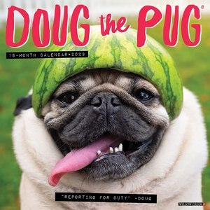 Doug the Pug 2023 Wall Calendar