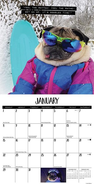 Doug the Pug 2022 Wall Calendar