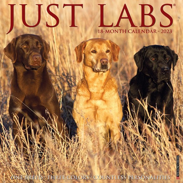 Just Goldens 2018 Wall Calendar