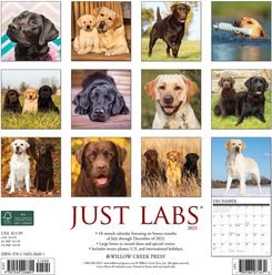 Just Labs 2023 Wall Calendar slide 2 of 4