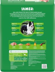 Iams Proactive Health MiniChunks Small Kibble Adult Chicken & Whole Grain Dry Dog Food, 30-lb bag slide 2 of 9