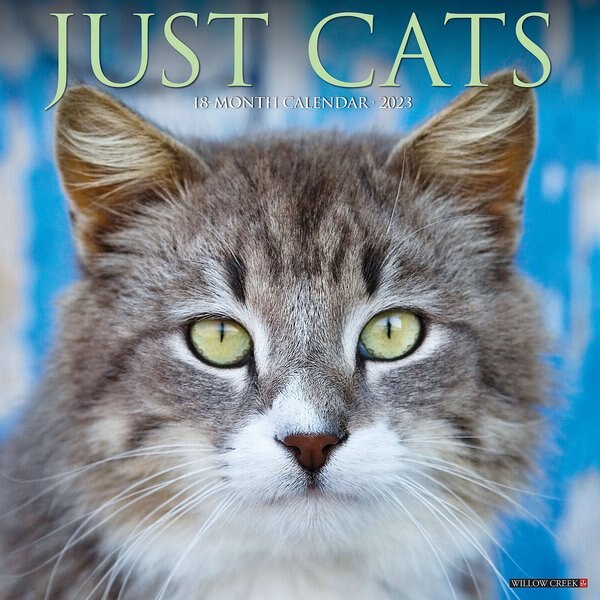 Cat-Astrophe 2023 Wall Calendar