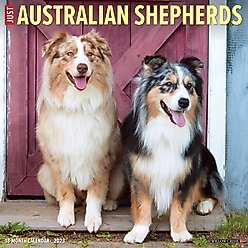 Just Australian Shepherd 2023 Wall Calendar