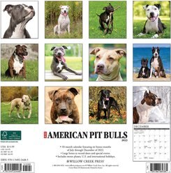 Just American Pit Bull Terriers 2023 Wall Calendar slide 2 of 4
