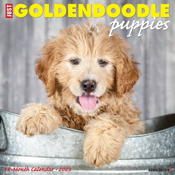 Sunnyside goldendoodles hot sale