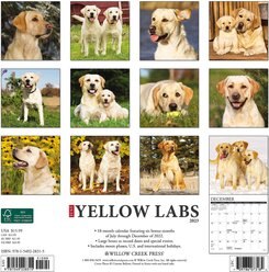 Just Yellow Labs 2023 Wall Calendar slide 2 of 4