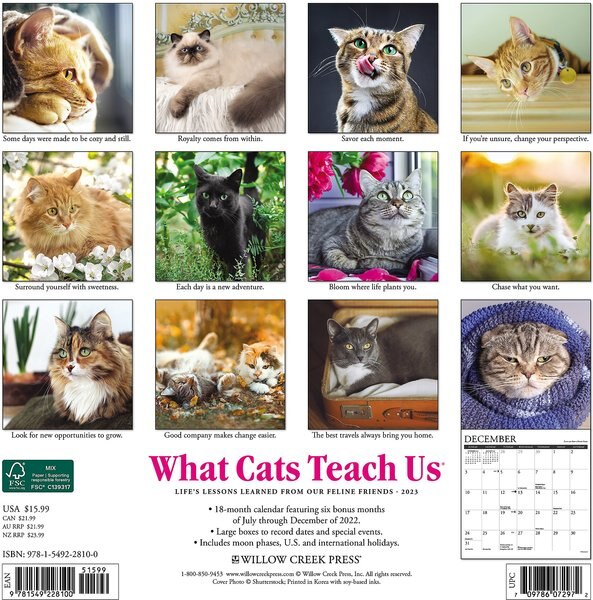 What Cats Teach Us 2019 Wall Calendar