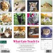 Cats Teach Us 2018 Wall Calendar