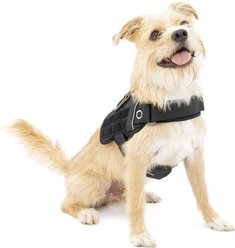 Kurgo RSG Townie Polyester Reflective Back Clip Dog Harness, Black, X-Small: 12 to 18-in chest