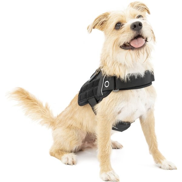 PETSAFE Easy Walk Dog Harness, Black/Silver, Petite/Small