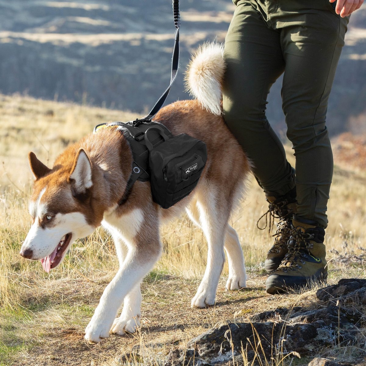 Kurgo RSG Dog Sling Thing Dog Leash Attachment