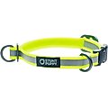 Stunt Puppy Go Dog Glo Dry Standard Dog Collar, Yellow, Small