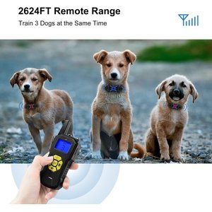 Petdiary T500 Deterrent Spray Rechargable Remote Dog Training Collar, Black