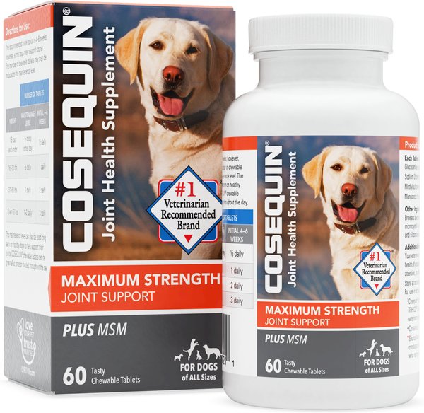 Nutramax Cosequin Maximum Strength Plus MSM Chewable Tablets Joint Supplement for Dogs, 60 count slide 1 of 7