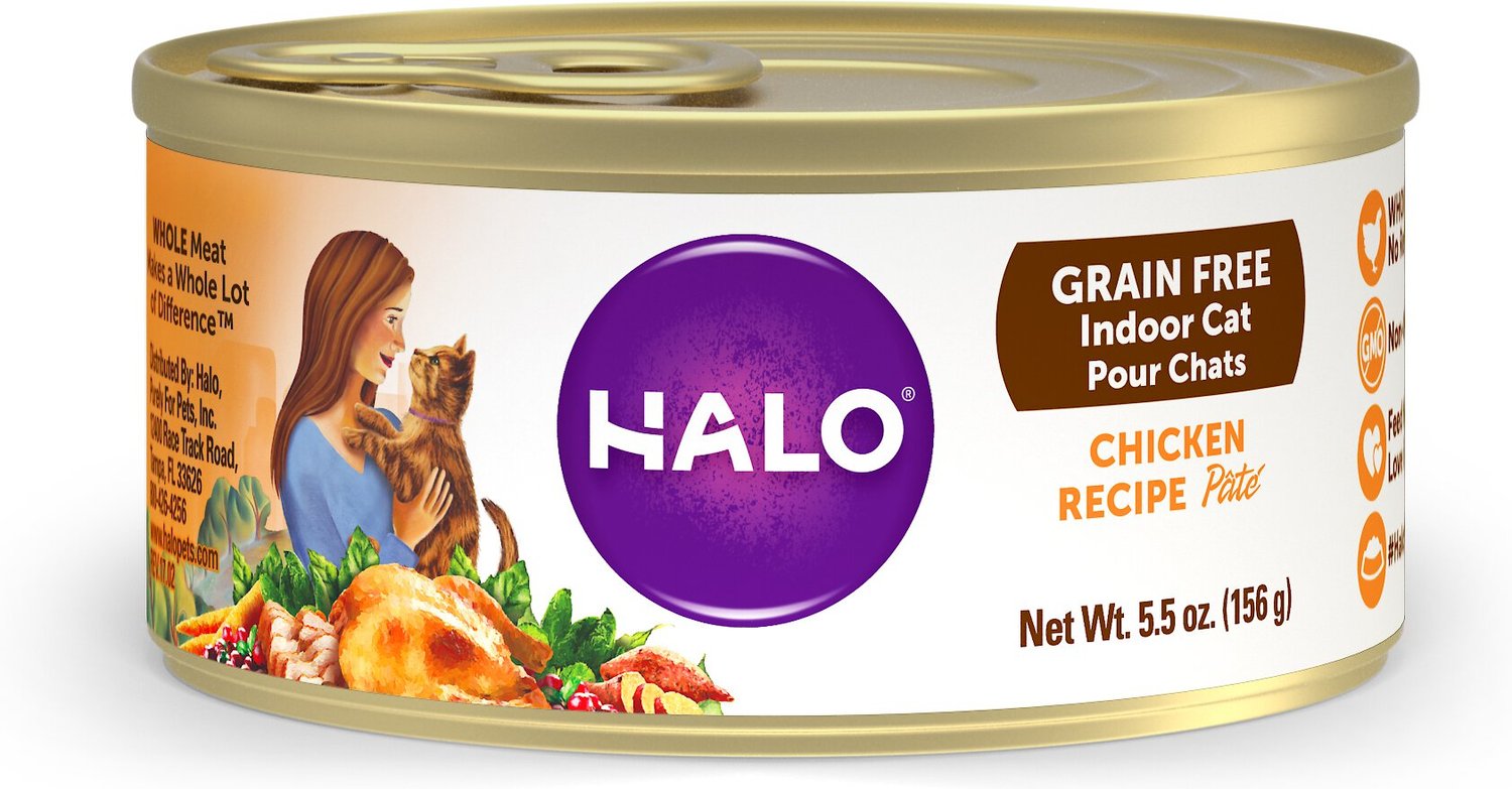 halo cat food chewy