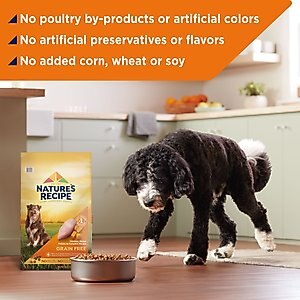 Nature's Recipe Grain-Free Chicken, Sweet Potato & Pumpkin Recipe Dry Dog Food, 24-lb bag