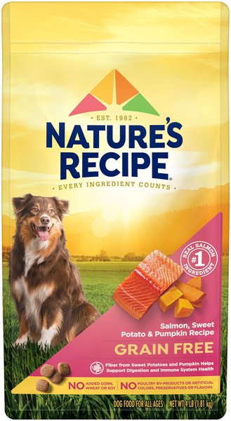 Nature's Recipe Grain-Free Salmon, Sweet Potato & Pumpkin Recipe Dry Dog Food, 4-lb bag slide 1 of 10