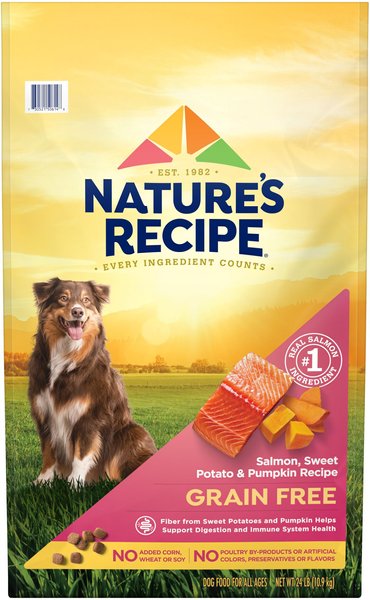 Nature's Recipe Grain-Free Salmon, Sweet Potato & Pumpkin Recipe Dry Dog Food, 24-lb bag slide 1 of 10