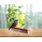 Show in main carousel: Ashman Home Shaped Window Bird Feeder slide 3 of 6