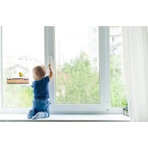 Ashman Home Shaped Window Bird Feeder