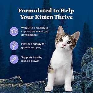 Blue Buffalo Wilderness High Protein Natural Grain-Free Chicken Kitten Dry Cat Food, 5-lb bag