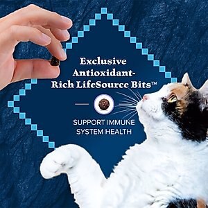 Blue Buffalo Wilderness High Protein Natural Grain-Free Chicken Kitten Dry Cat Food, 5-lb bag