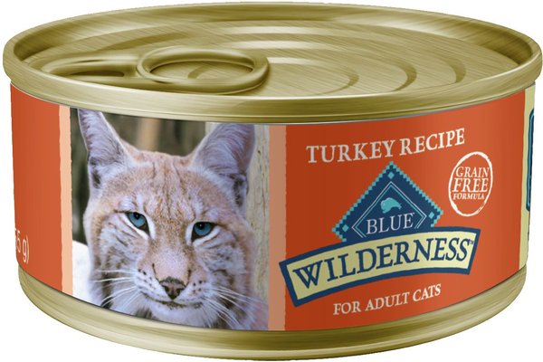 Blue wilderness outlet wet kitten food