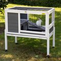 Coziwow by Jaxpety 2-Tier Wood Rabbit Hutch Small Animal Cage with Ramp