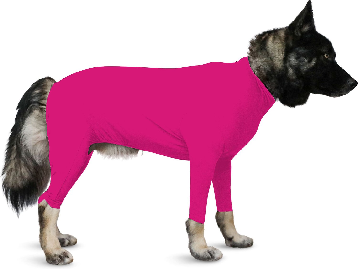 hooded dog jacket