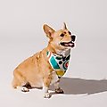 Good Trouble Combed Cotton Dog Bandana, Pebble Pink, Small/Medium