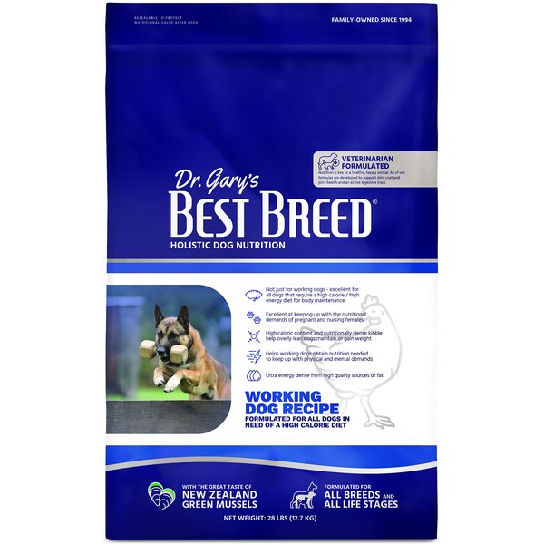 Top holistic 2024 dog food