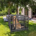 SMONTER Heavy Duty Metal Anxiety Indoor & Outdoor Large Breed Dog Crate, Dark silver, 42-in