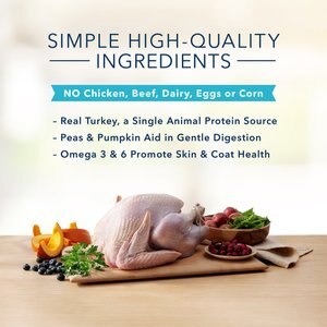 Blue Buffalo Basics Skin & Stomach Care Grain-Free Turkey & Potato Recipe Indoor Adult Dry Cat Food, 11-lb bag