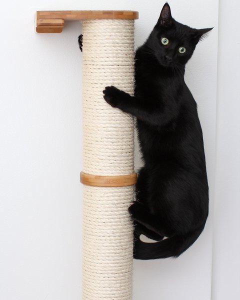 CatastrophiCreations Sisal Cat Climbing Pole, 4-tier, Natural slide 1 of 10