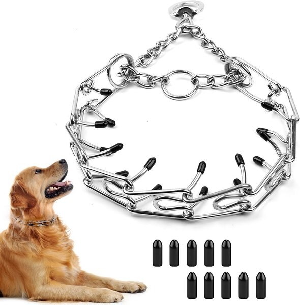 BOUSNIC ProTraining Dog Prong Collar with Latch