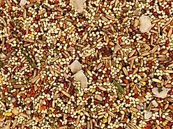 Higgins Sunburst Gourmet Blend Birdseed & Grains Parakeet & Budgie Bird Food, 2-lb bag slide 2 of 5