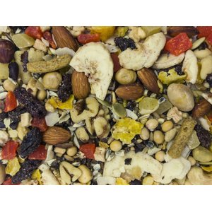 Higgins Sunburst Gourmet Treats Dried Fruits & Nuts Macaw & Conure Bird Treats, 5-oz bag