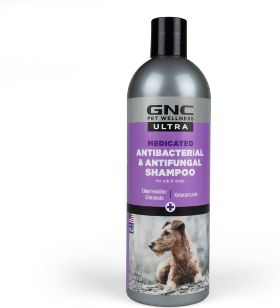 hovedvej åbning desinfektionsmiddel GNC PETS Ultra Medicated Antibacterial & Antifungal Dog Shampoo, 16-oz  bottle - Chewy.com
