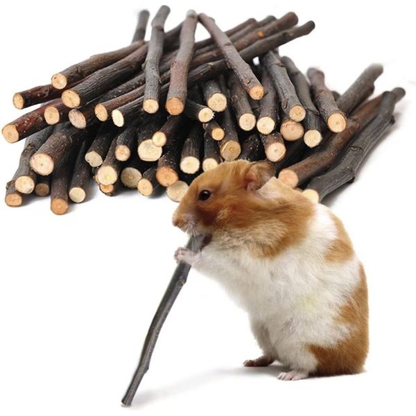 10 Best Hedgehog Treats 2024 According to Reviews Chewy