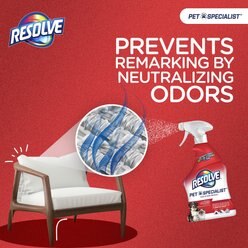 Resolve Pet Specialist Stain & Odor Remover, 32-oz bottle slide 2 of 5