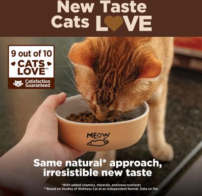 Show full view: Wellness CORE Grain-Free Kitten Formula Natural Dry Cat Food, 2-lb bag slide 3 of 12