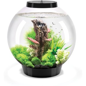 BIORB Classic LED Fish Aquarium, Silver, 8-gal - Chewy.com