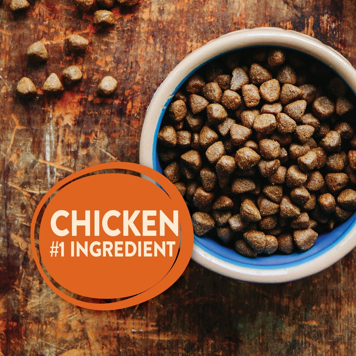 Wellness TruFood Baked Nuggets Puppy Recipe Chicken & Chicken Liver Grain-Free Dry Dog Food